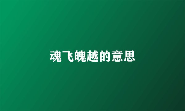 魂飞魄越的意思