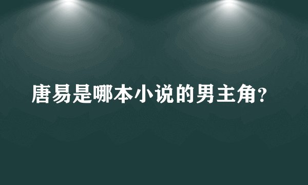 唐易是哪本小说的男主角？
