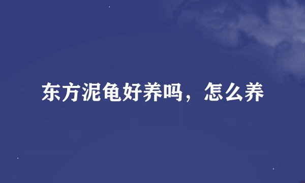 东方泥龟好养吗,怎么养