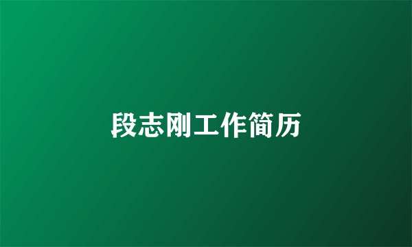 段志刚工作简历