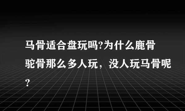 马骨适合盘玩吗?为什么鹿骨驼骨那么多人玩,没人玩马骨呢?