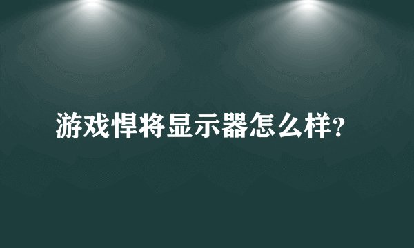 游戏悍将显示器怎么样？
