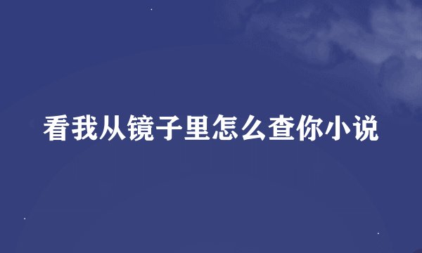 看我从镜子里怎么查你小说