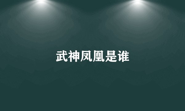武神凤凰是谁