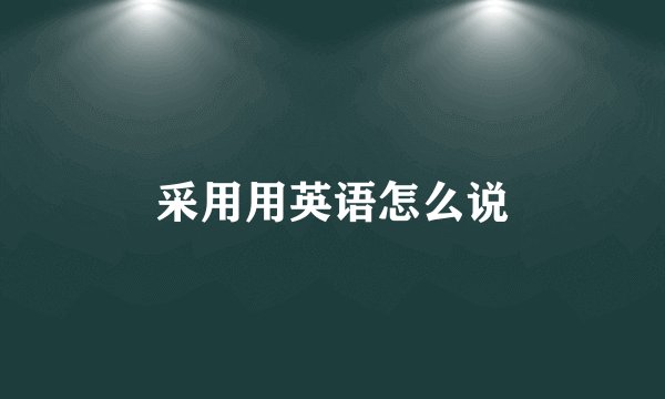 采用用英语怎么说