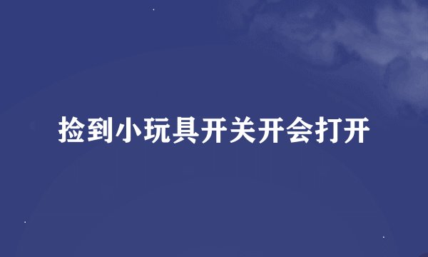 捡到小玩具开关开会打开