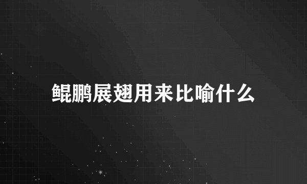 鲲鹏展翅用来比喻什么
