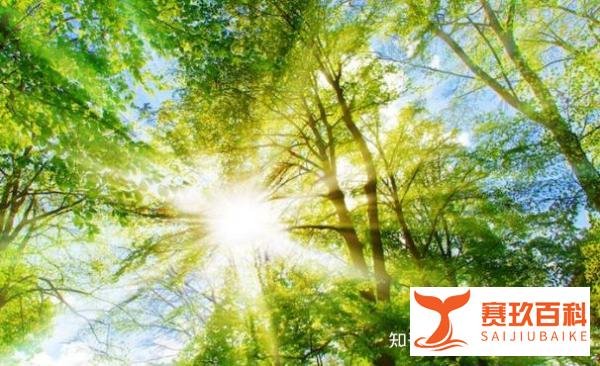 正式确诊为胡歌,年轻人现状:早F晚E