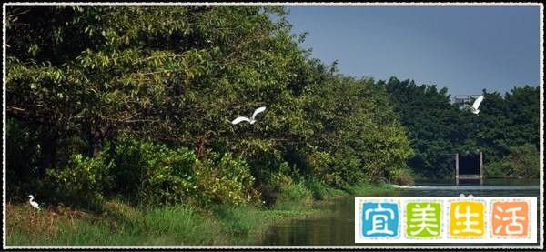 南沙湿地公园广州旅游攻略