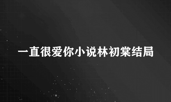一直很爱你小说林初棠结局