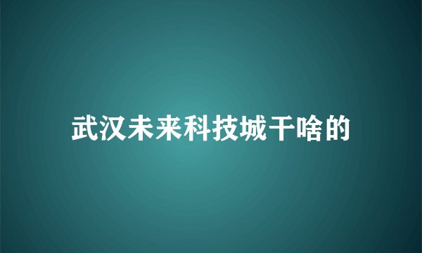 武汉未来科技城干啥的