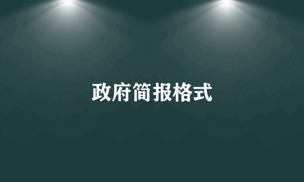 政府简报格式
