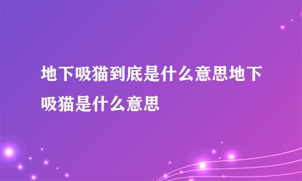 地下吸猫到底是什么意思地下吸猫是什么意思