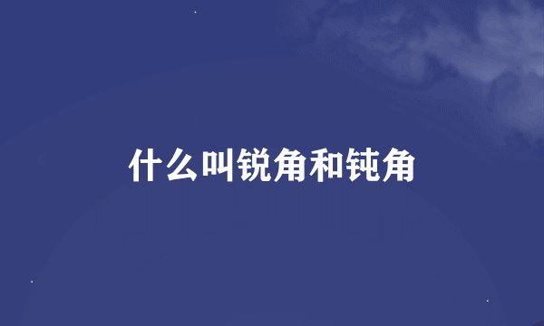 什么叫锐角和钝角