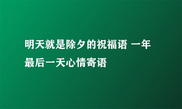 明天就是除夕的祝福语 一年最后一天心情寄语
