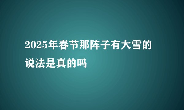2025年春节那阵子有大雪的说法是真的吗