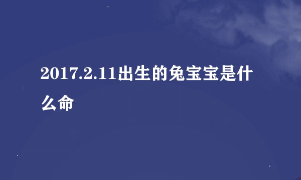 2017.2.11出生的兔宝宝是什么命