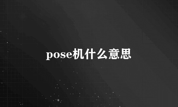 pose机什么意思