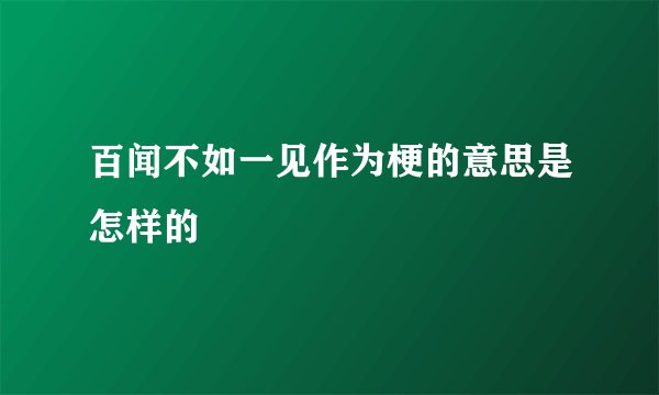百闻不如一见作为梗的意思是怎样的