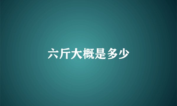 六斤大概是多少