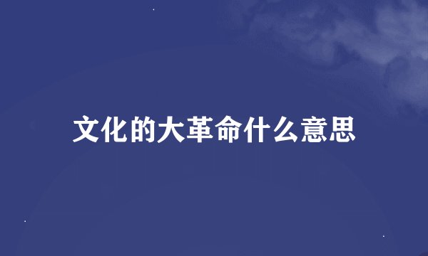 文化的大革命什么意思