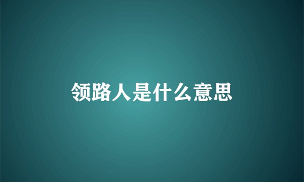 领路人是什么意思