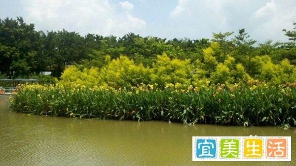 南沙湿地公园广州旅游攻略