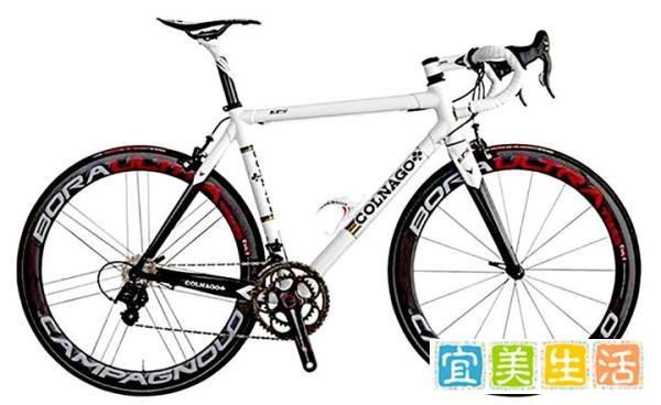 2025全世界最顶级自行车品牌排行榜前十名福伦王土拨鼠公路车