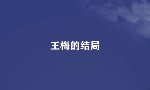 王梅的结局
