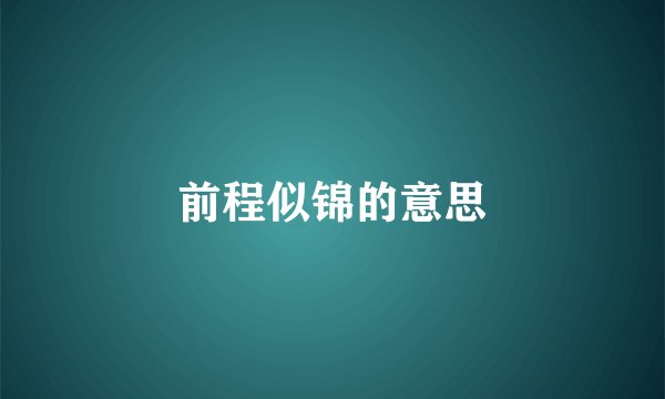 前程似锦的意思
