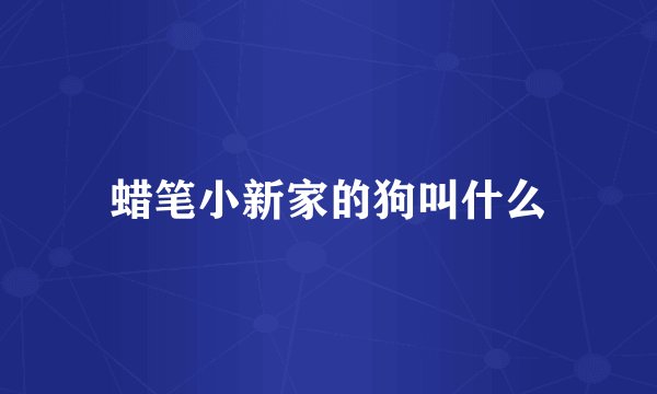 蜡笔小新家的狗叫什么