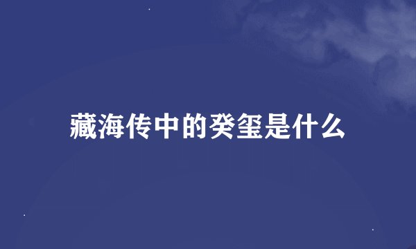 藏海传中的癸玺是什么