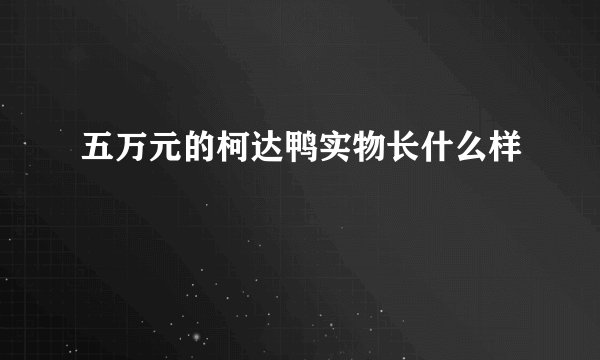五万元的柯达鸭实物长什么样