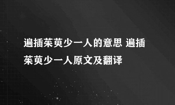 遍插茱萸少一人的意思 遍插茱萸少一人原文及翻译
