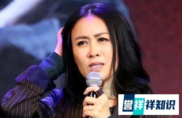 那英又出事,《罗刹海市》风波再从升级!参加上海音乐节遭抵制