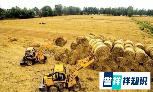 投资建设有机肥厂需要多少钱?需要什么设备?