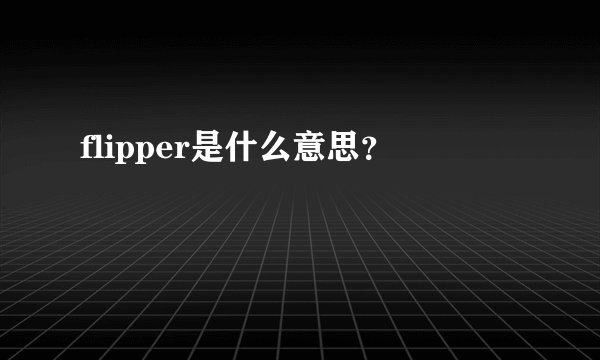 flipper是什么意思？