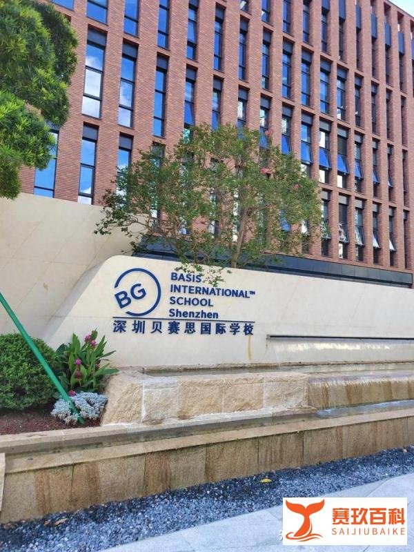 2026年深圳四所贝赛思该如何选？一文盘点四所贝赛思特点与区别！