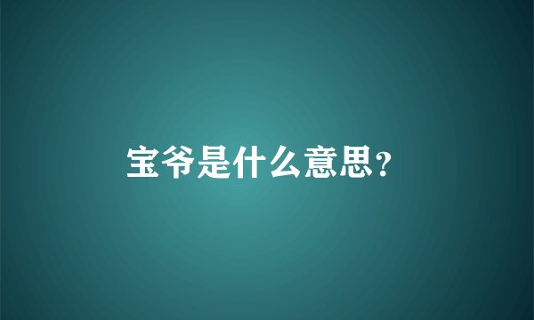 宝爷是什么意思？