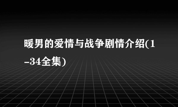 暖男的爱情与战争剧情介绍(1-34全集)