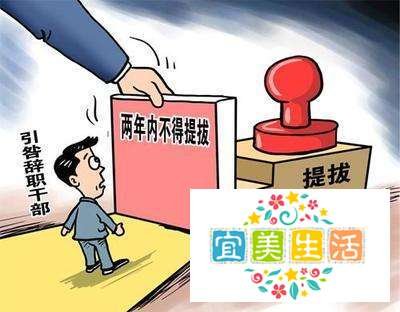 引咎辞职是什么意思
