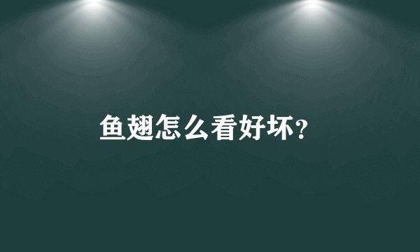 鱼翅怎么看好坏？