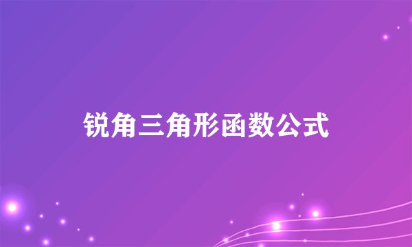 锐角三角形函数公式