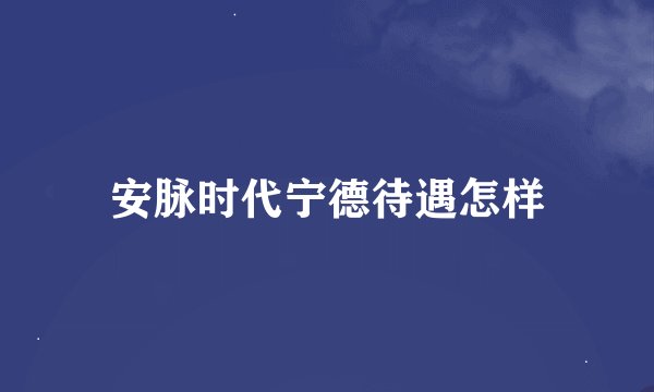 安脉时代宁德待遇怎样