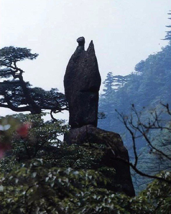 黄山奇石 图片仙人指路
