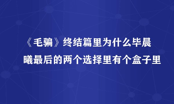 《毛骗》终结篇里为什么毕晨曦最后的两个选择里有个盒子里