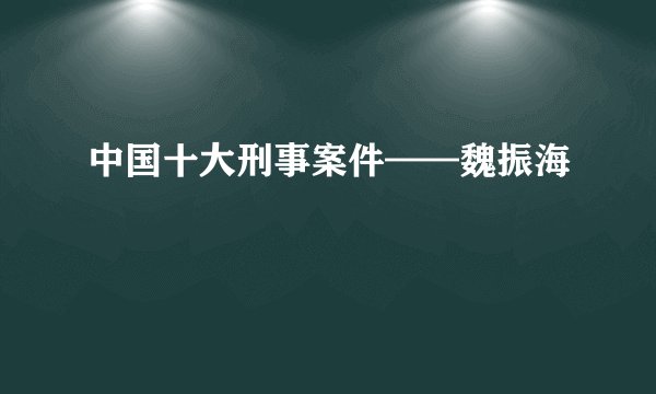中国十大刑事案件——魏振海