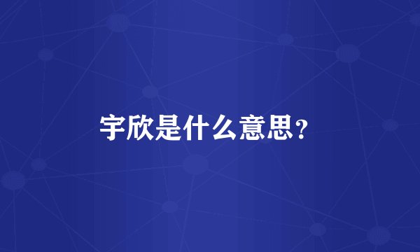 宇欣是什么意思？