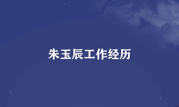 朱玉辰工作经历
