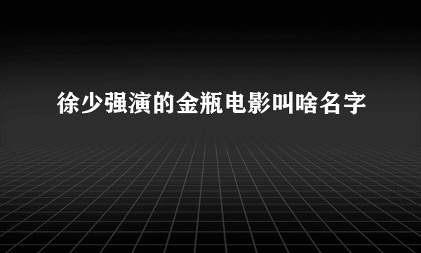 徐少强演的金瓶电影叫啥名字